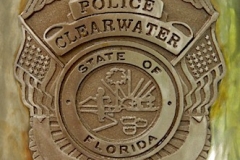 Clearwater Badge